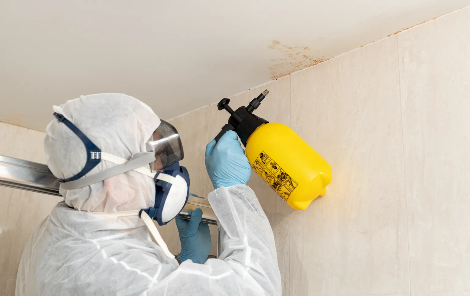 Mold remediation after water damage in a San Angelo kitchen